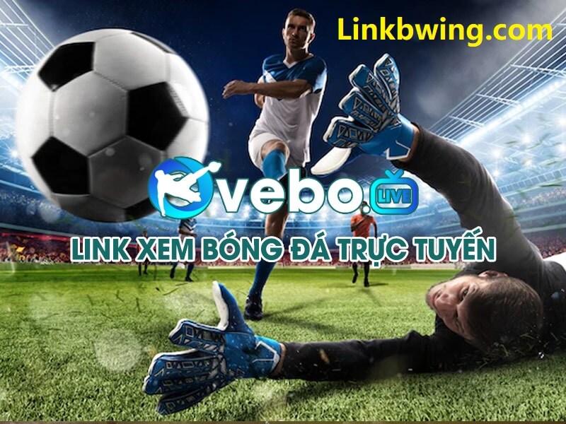 Tại sao phải chọn Vebo.live để xem bóng đá trực tuyến